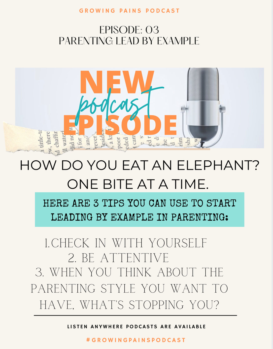 Parenting, Lead by Example :EP03